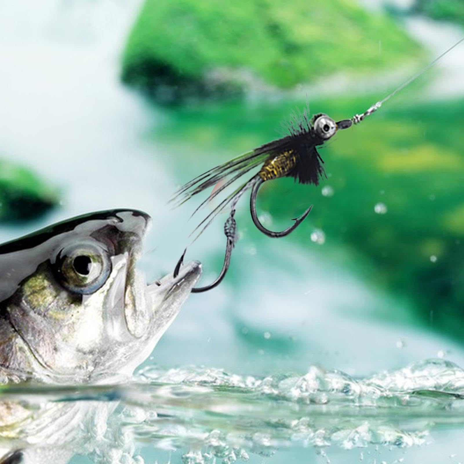 Amazon | フライポッパールアーバス、フライアソートメント